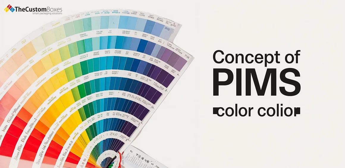 What is PMS Color A Complete Guide